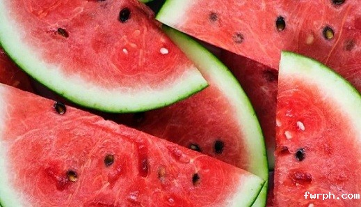 3141.webp.jpg 3141.webp.jpg