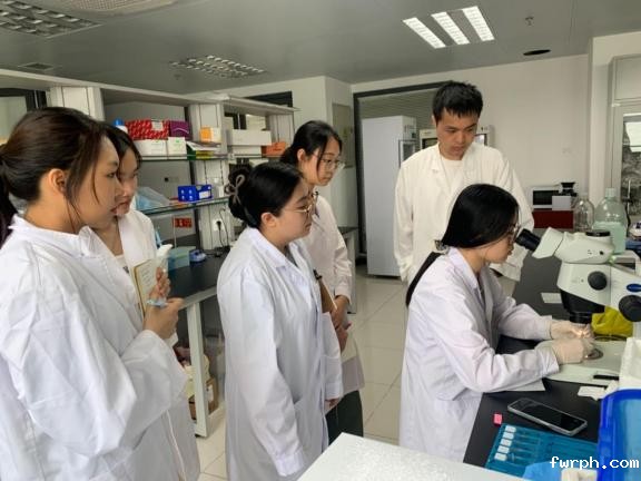 图片2.jpg 图片2.jpg