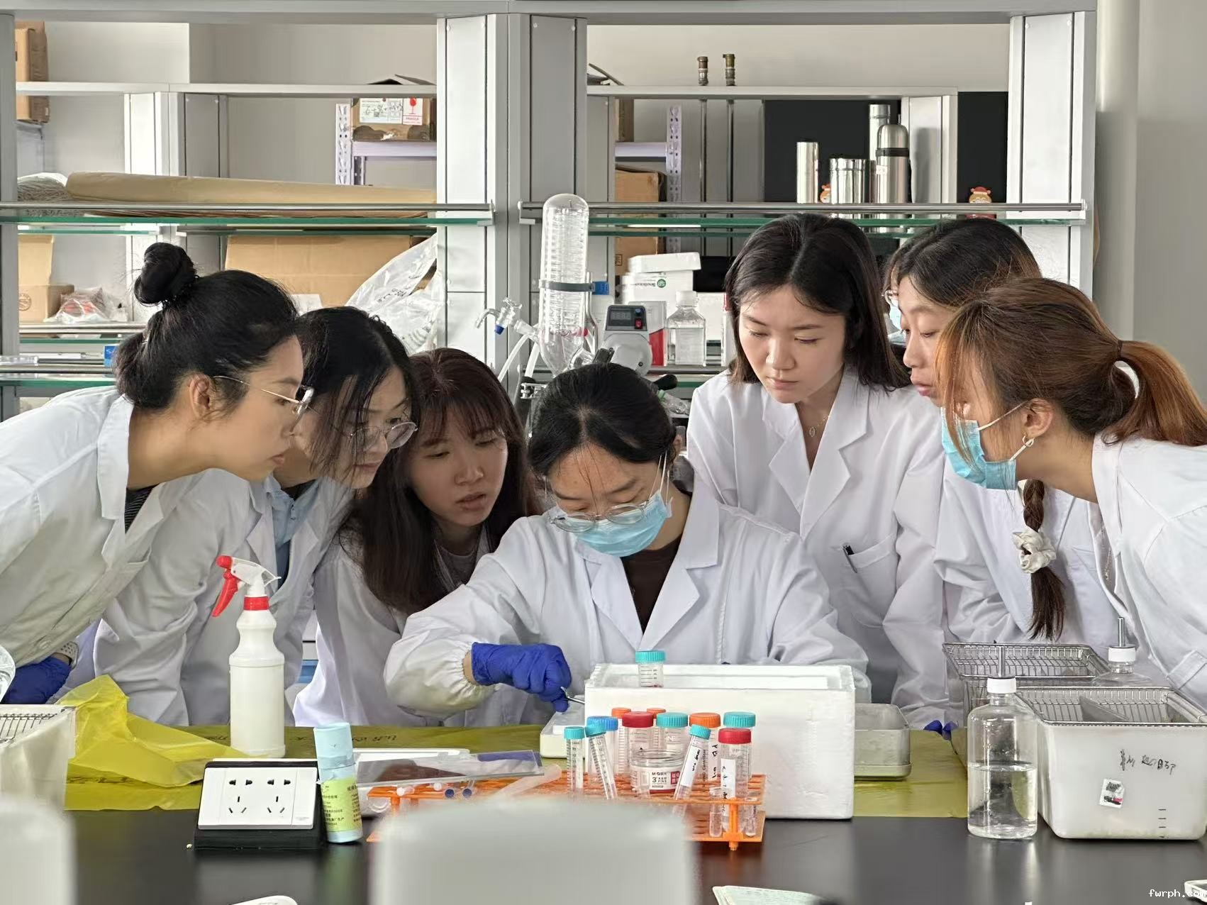 微信图片_2025-08-01_170008_612.jpg 微信图片_2025-08-01_170008_612.jpg