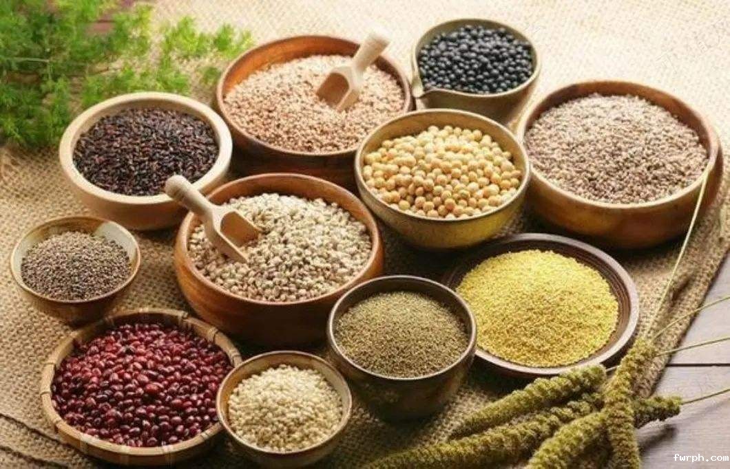 你有多了解全麦？