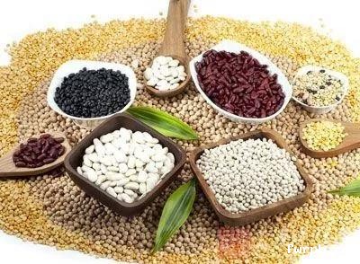 面食和米饭，哪个更有营养？