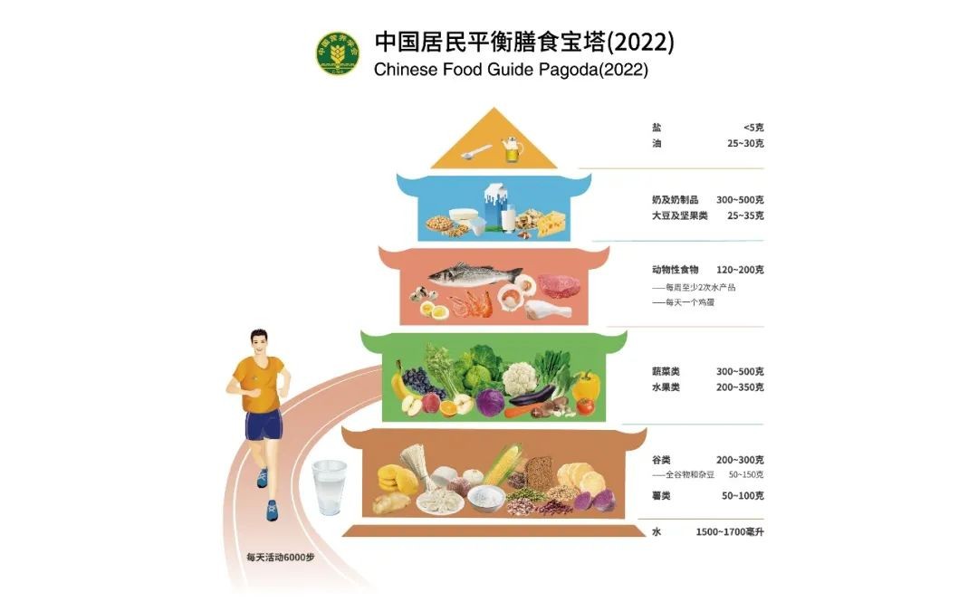 中国居民平衡膳食宝塔、餐盘（2022）图示修订和解析说明